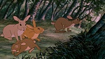 Watership Down picture