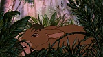 Watership Down picture