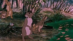 Watership Down picture