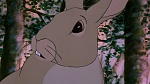 Watership Down picture