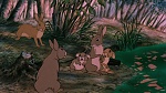 Watership Down picture