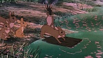 Watership Down picture