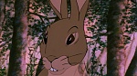 Watership Down picture