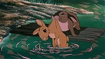 Watership Down picture