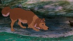Watership Down picture