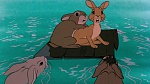 Watership Down picture