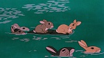Watership Down picture