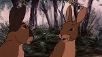 Watership Down picture