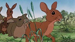 Watership Down picture