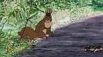Watership Down picture