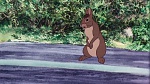 Watership Down picture