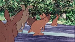 Watership Down picture