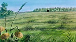 Watership Down picture