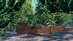 Watership Down picture