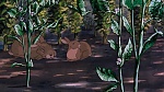 Watership Down picture