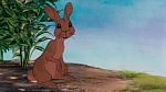 Watership Down picture