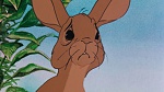 Watership Down picture
