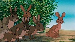 Watership Down picture
