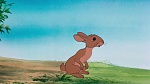 Watership Down picture