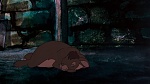 Watership Down picture