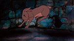 Watership Down picture