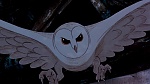 Watership Down picture