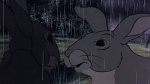 Watership Down picture