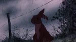 Watership Down picture