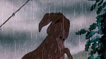 Watership Down picture