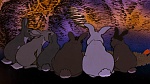 Watership Down picture