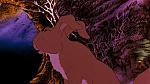 Watership Down picture
