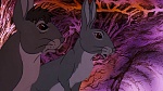 Watership Down picture