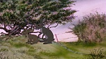 Watership Down picture