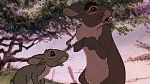 Watership Down picture