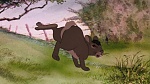 Watership Down picture