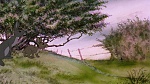 Watership Down picture