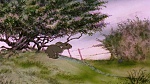 Watership Down picture