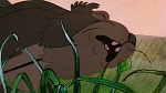 Watership Down picture