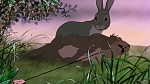 Watership Down picture