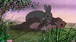 Watership Down picture