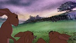 Watership Down picture