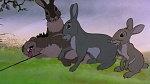 Watership Down picture