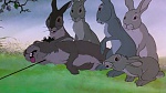 Watership Down picture