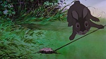 Watership Down picture