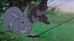 Watership Down picture