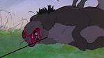 Watership Down picture