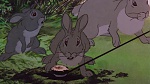 Watership Down picture