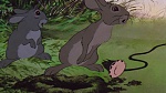 Watership Down picture
