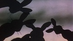 Watership Down picture