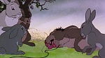 Watership Down picture